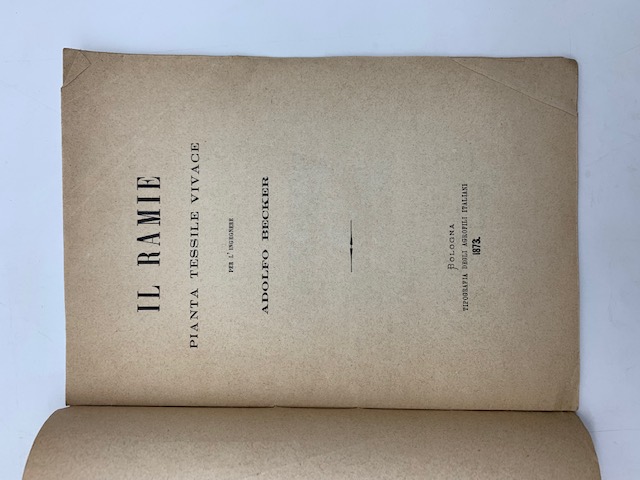 Il ramie. Pianta tessile vivace